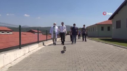 TVHB Başkanı Eroğlu: "Veteriner hekimlerimiz canla başla çalışıyor"