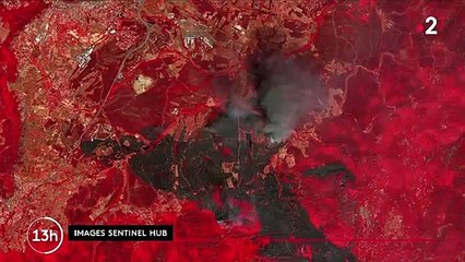 Var : l'incendie ne progresse plus grâce à la météo et au travail des pompiers