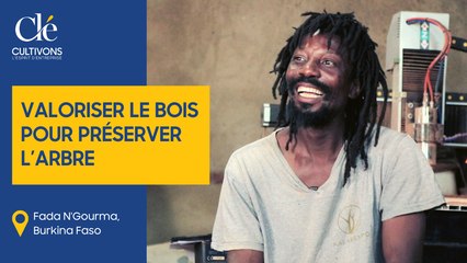 Valoriser le bois pour préserver l'arbre