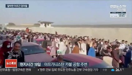 아이만이라도…철조망 너머로 아기 던지는 아프간 엄마들