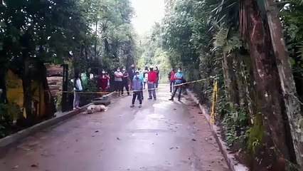 Localizan restos humanos en una de las calles de la colonia La Casita, Fraijanes
