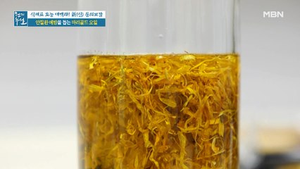 눈 건강 돕는 [마리골드 차 & 마리골드 오일]