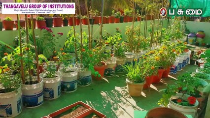 மாடித்தோட்டத்தில் பூச்சித்தொல்லைக்குத் தீர்வு இதுதான்_| Terrace Garden  | Episode 5