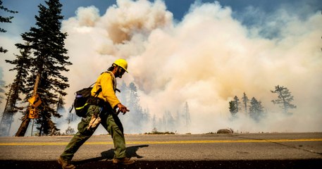 Múltiples incendios forestales continúan avanzando en el norte de California