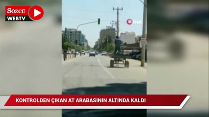Kontrolden çıkan at arabasının altında kaldı