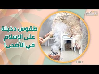 خرافات تحاصر أضحية العيد.. الزواج والشفاء من الأمراض من بينها!