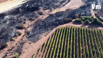 Dans le massif des Maures, des kilomètres de dévastation