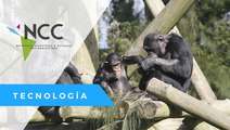 El Zoológico de Guadalajara protege a sus animales y al personal de la COVID-19