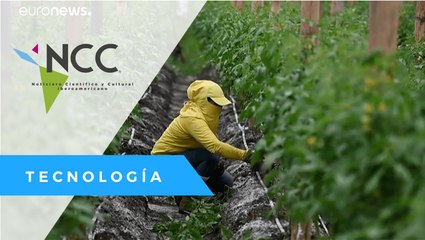 Cárcel autosostenible en El Salvador, donde reclusas producen sus alimentos