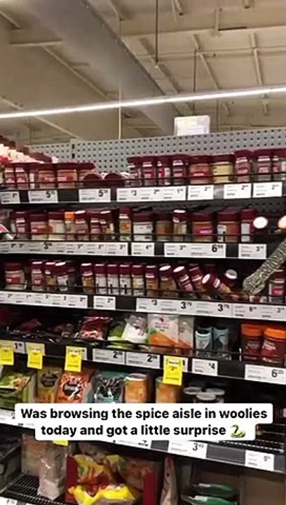 Pitón de tres metros es encontrada en un supermercado en Australia