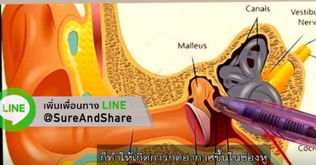 ข่าวค่ำ ช่วงที่ 4 วันศุกร์ที่ 20 สิงหาคม 2564