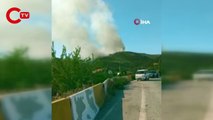 İzmir'in iki ilçesinde orman yangını başladı