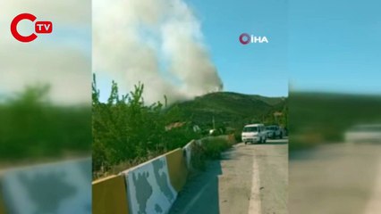 İzmir'in iki ilçesinde orman yangını başladı