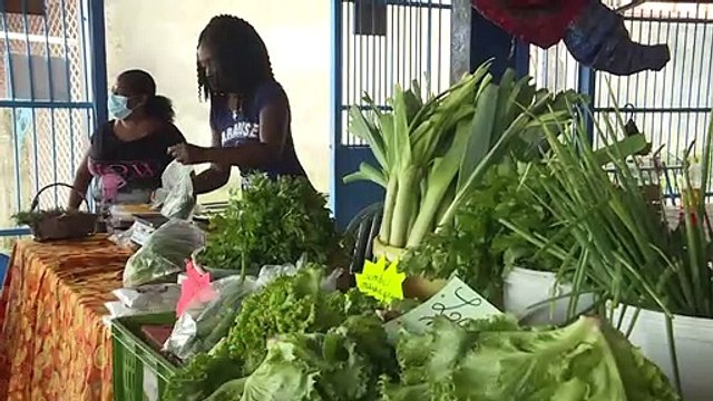 Vérifier , informer : des citoyens martiniquais s'engagent face aux fake-news sur le Covid-19