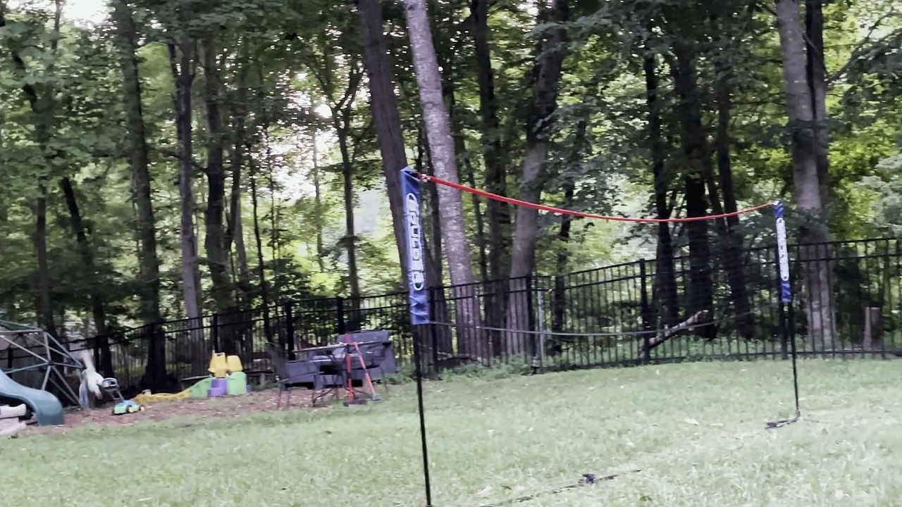 Animal Friends Play at the Fence