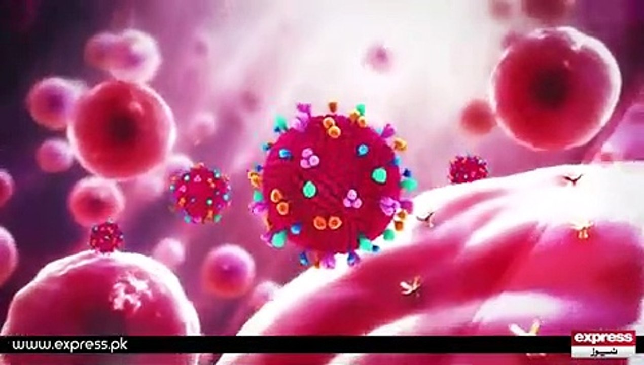 Virus