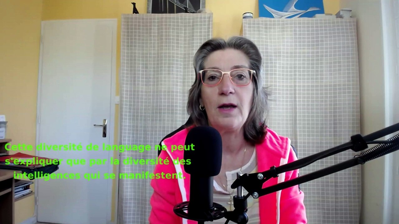 Question 16 - Tous les Esprits sont-ils égaux ?