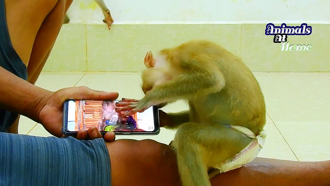 2524=Oh My God !!!! Baby ALDO Don't Breaking Body Gas Baby CLARE Is at Back ,WOW Smelling Bad Gas