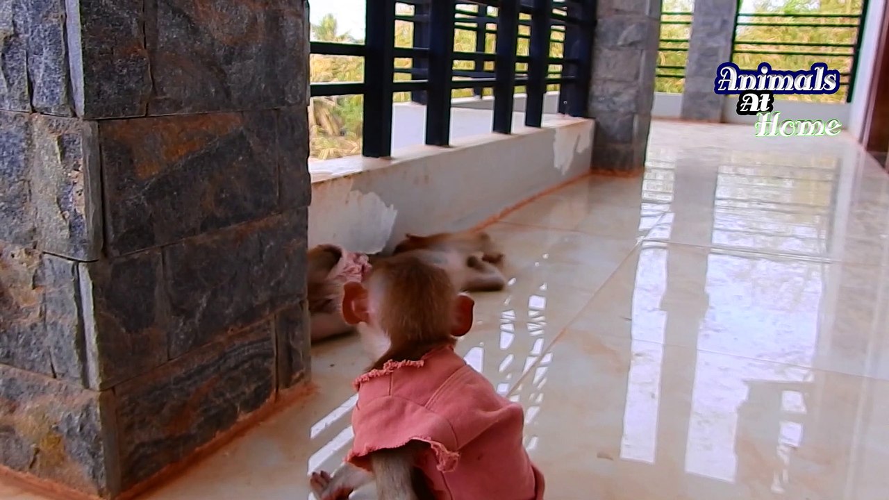 24=Oh My God !!!! Baby ALDO Don't Breaking Body Gas Baby CLARE Is at Back ,WOW Smelling Bad Gas