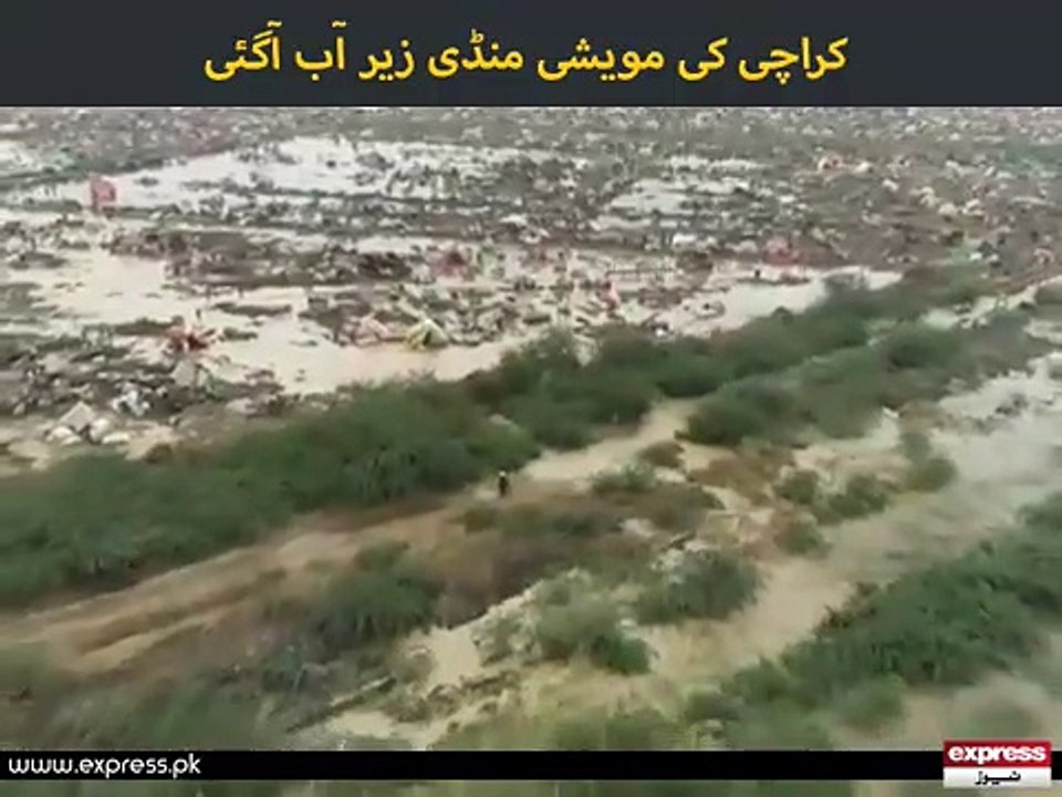 Water Mandi