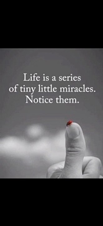 | Worth Watching | LIFE IS A MIRACLE | Inspirational Video