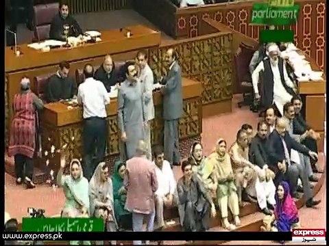 national assembly hangama arai