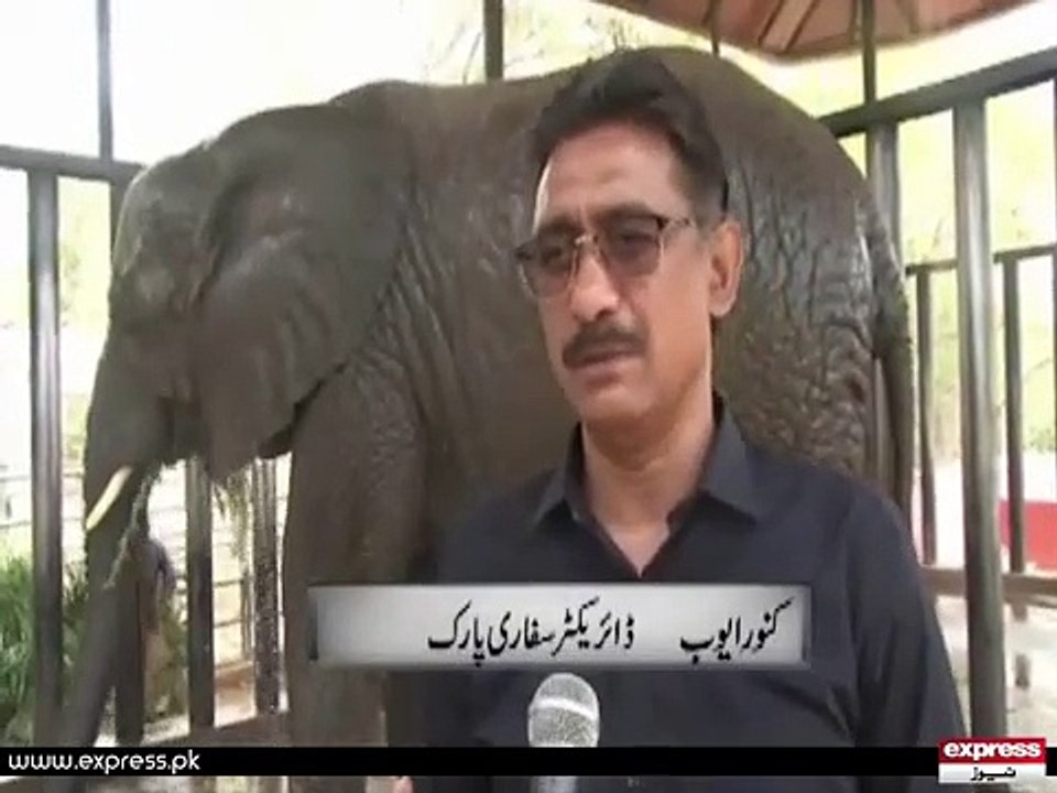 SAFARIPARK