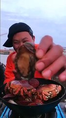 SPICY SEAFOOD | SQUID OCTOPUS SUPER NICE EATING |  أصوات الأخطبوط ال | #shorts #102