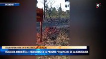 Tragedia ambiental: incendios en el Parque Provincial de la Araucaria