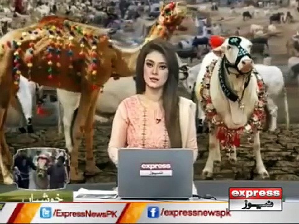 bakra EID