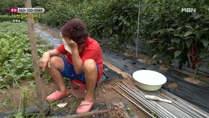 홀로 손녀를 키우고 있는 할머니