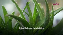 طرق تبييض الوجه في خمس دقائق