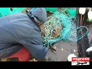 Net for catching fishes