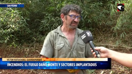 Incendios: el fuego dañó monte y sectores implantados