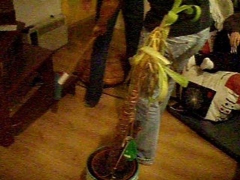 gage de robin: l'aveugle