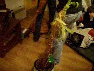 gage de robin: l'aveugle