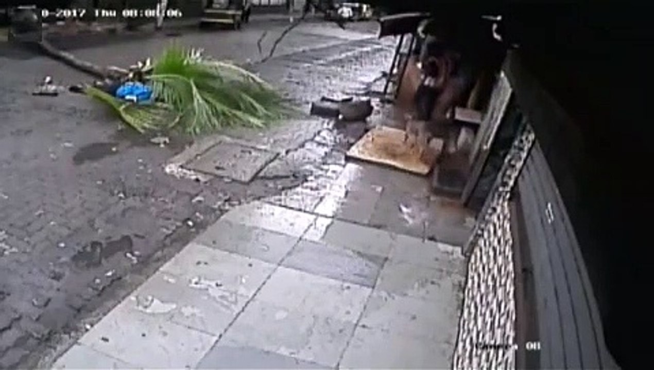 Doordarshan Anchor Dies After Coconut Tree Falls