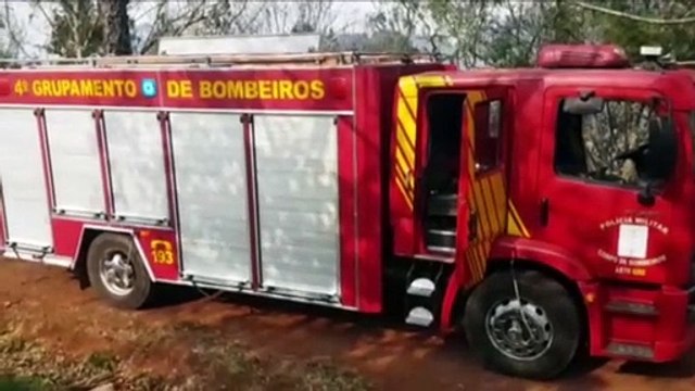 Grande área de vegetação pega fogo às margens da BR-369 em Cascavel
