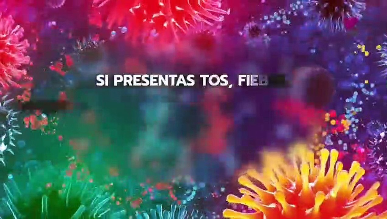 Vibe TV (47)