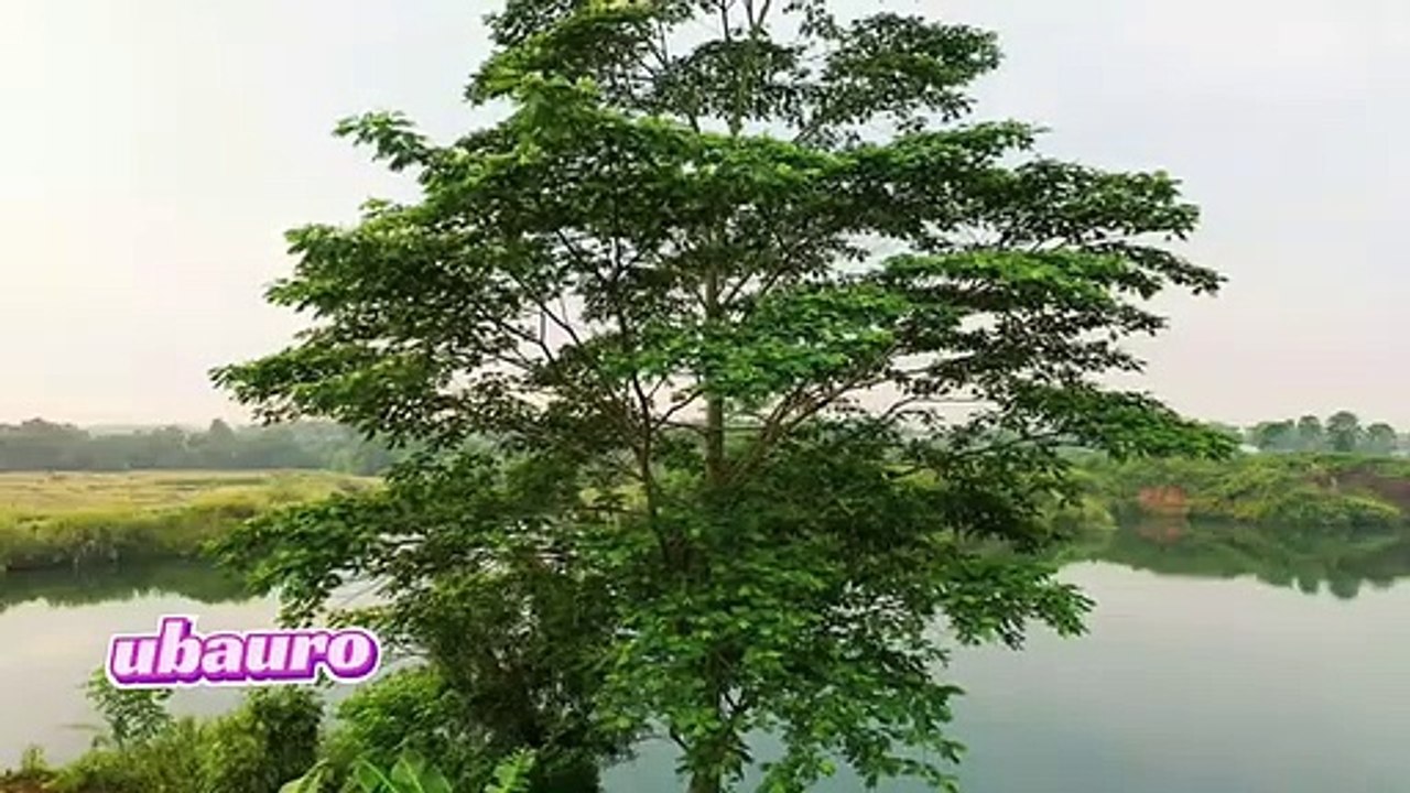 Real_beautiful_universal_love_(360p)