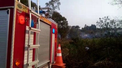 Corpo de Bombeiros combate incêndio em vegetação no Jardim Colmeia