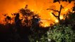 Firefighters battle deadly wildfires overnight in France