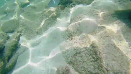 This Caribbean Resort Company Is Requiring Guests at Its Hotels to Be Vaccinated