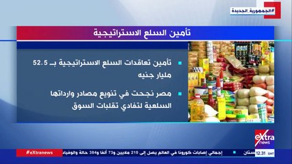 تعرف على تفاصيل تأمين السلع الاستراتيجية فى مصر