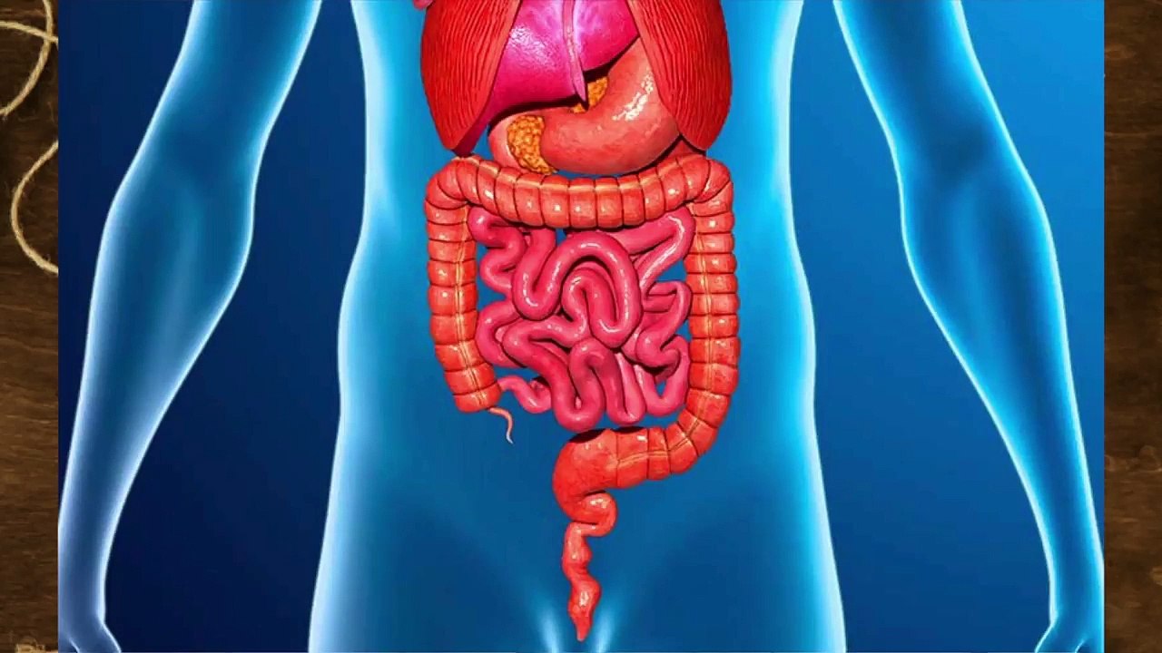 TÉ ZAPOTECO con A.H. VERÓNICA FÉLIX