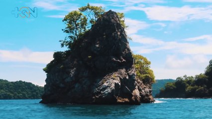 mqn-Isla protege piedra gigante en forma de tortuga-200821
