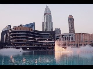 ما هي نشاطاتكم الصيفية في دبي