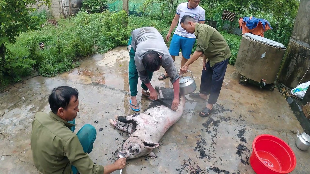 Cán Bộ Bát Con Lợn Đen Làm Thịt