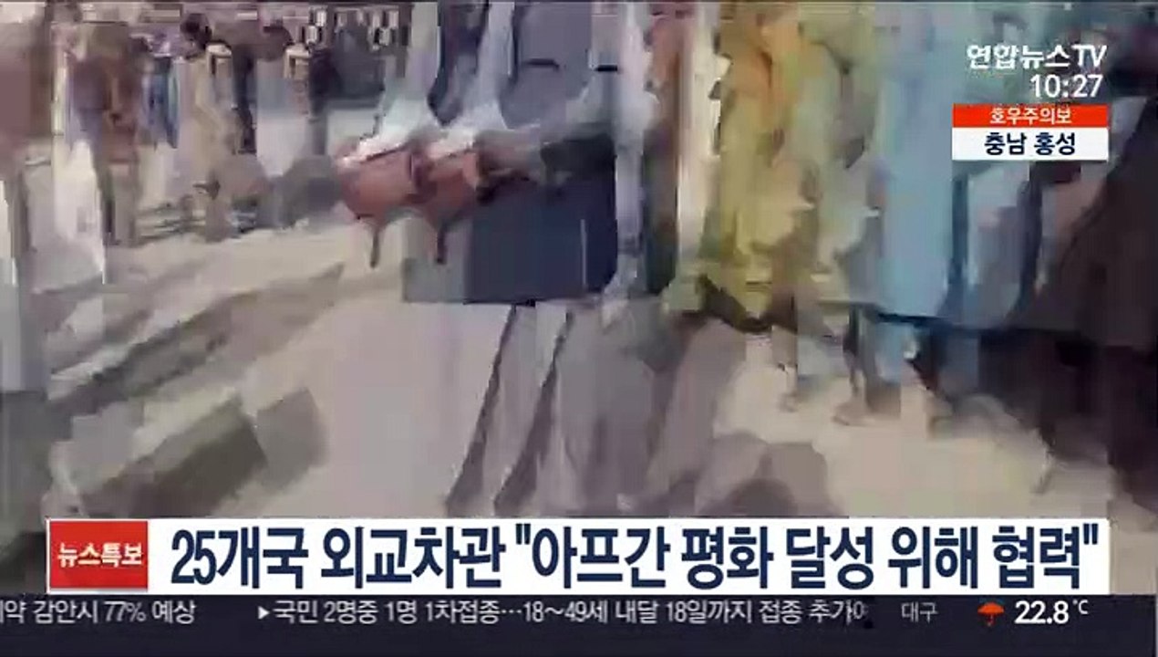 25개국 외교차관 "아프간 평화 달성 위해 협력"
