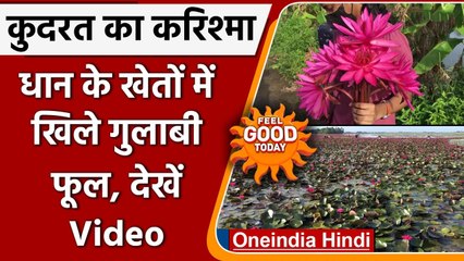 Kerala: Malarikkal village में दिखा कुदरत का अनोखा करिश्मा, देखे Video | वनइंडिया हिंदी